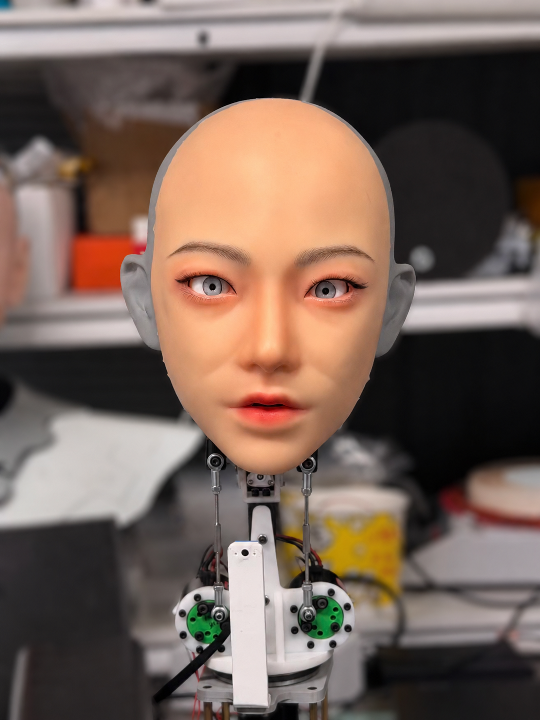 头眼协同注视控制系统原型图